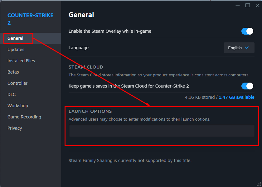 Das Textfeld für Startoptionen im Steam-Client, in dem CS2-Startoptionen eingetragen werden können